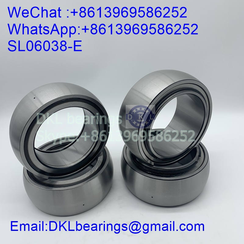 SL06038-E Cylindrical Roller Bearing (High quality) size 190x290x135 mm