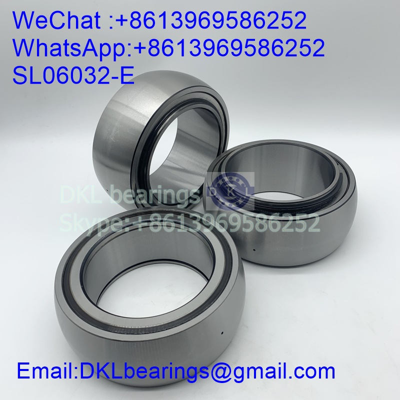 SL06032-E Cylindrical Roller Bearing (High quality) size 160x240x110 mm