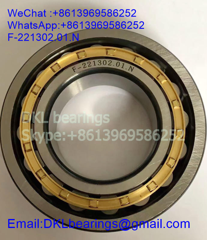 F221302.01 Germany Cylindrical Roller Bearing (High Quality) Size 55