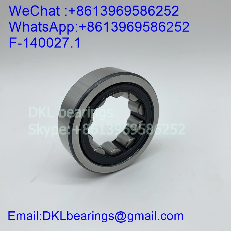 F-140027.1 Germany Cylindrical Roller Bearing (High quality) size 46.2*80*21 mm