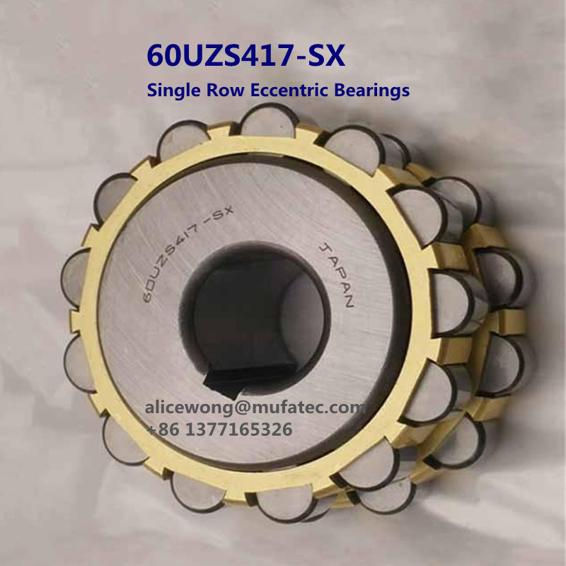 60UZS 417 SX Brass Cage Single Row Eccentric Roller Bearings 60x113x31mm