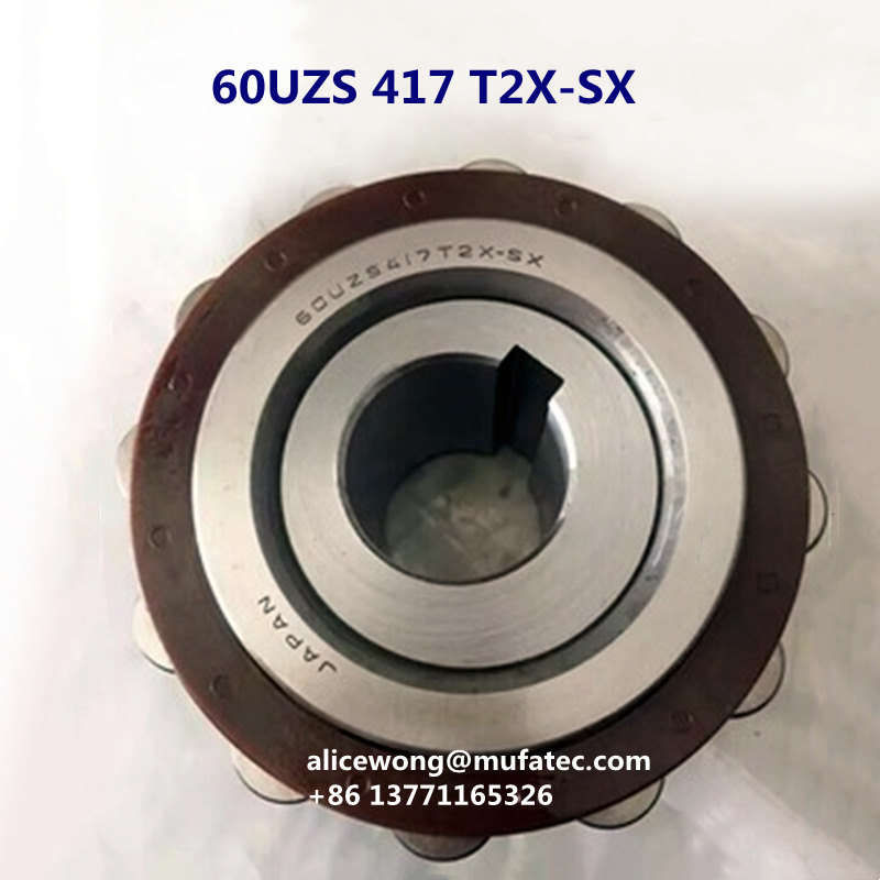 60UZS 417 T2X-SX Polymide Cage Single Row Eccentric Roller Bearings 60x113x31mm