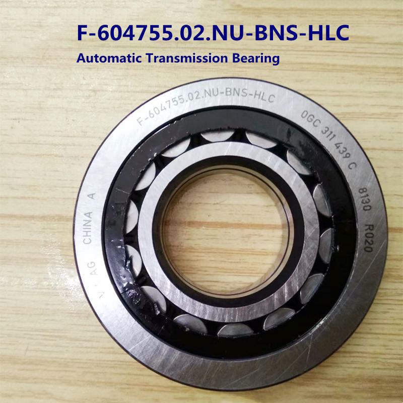 F-604755.02.NU.BNS Nylon Cage Cylindrical Roller Bearings Transmission Bearings 35*80*18mm