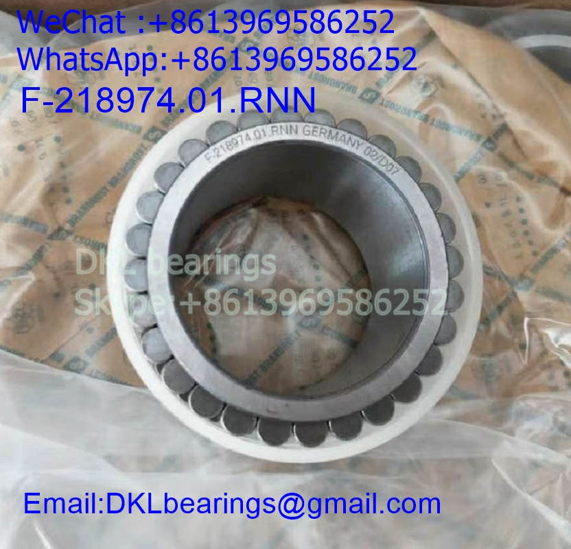 Cylindrical Roller Bearing F-218974.01