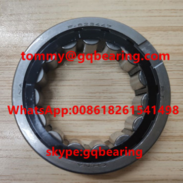F-623447 Needle Roller Bearing without Inner Ring