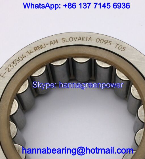 F-233504.14.RNU Auto Bearing / Cylindrical Roller Bearing 42*67*22mm