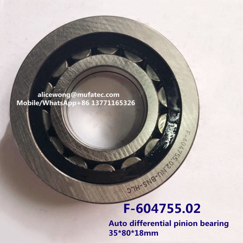 F-604755.02 auto differential pinion bearing cylindrical roller bearing 35*80*18mm