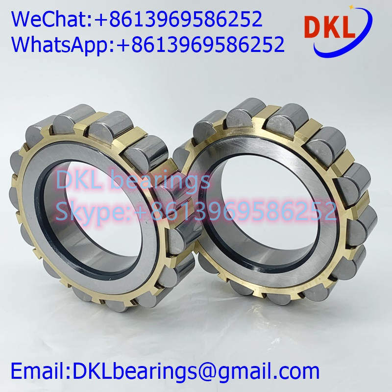 60UZS417 Eccentric Bearing (High quality) size 60*113*31 mm