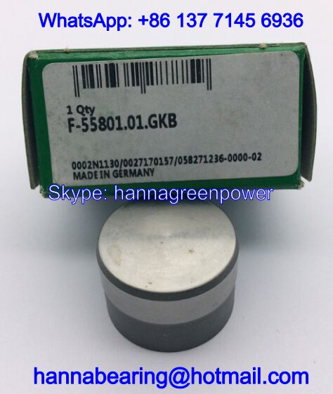 F-55801.1 / F-55801.01 Needle Roller Bearings for Printing Machine