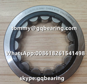 F-625371.01 Cylindrical Roller Bearing