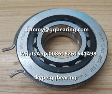 F-604757.04 Cylindrical Roller Bearing