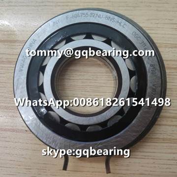 F-604755.02.NU.BNS-HLC RNU Type Cylindrical Roller Bearing