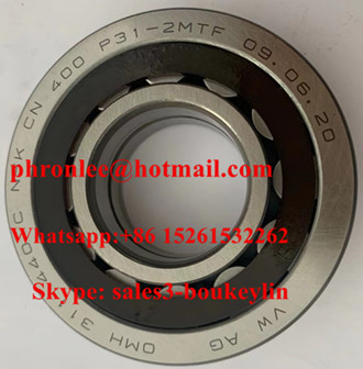 P31-2 Cylindrical Roller Bearing