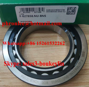 F-627858.03.NU-BNS Cylindrical Roller Bearing 55x90x18mm