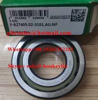 F-627405.02-3101 Cylindrical Roller Bearing 25x52x19mm