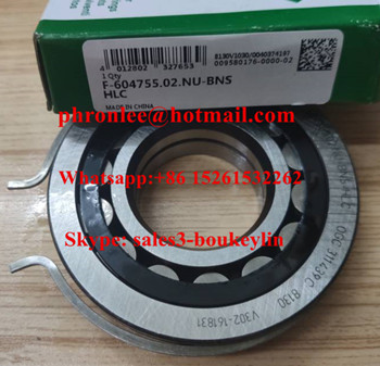 F-604755.02.NU-BNS-HLC Cylindrical Roller Bearing 35x80x18mm