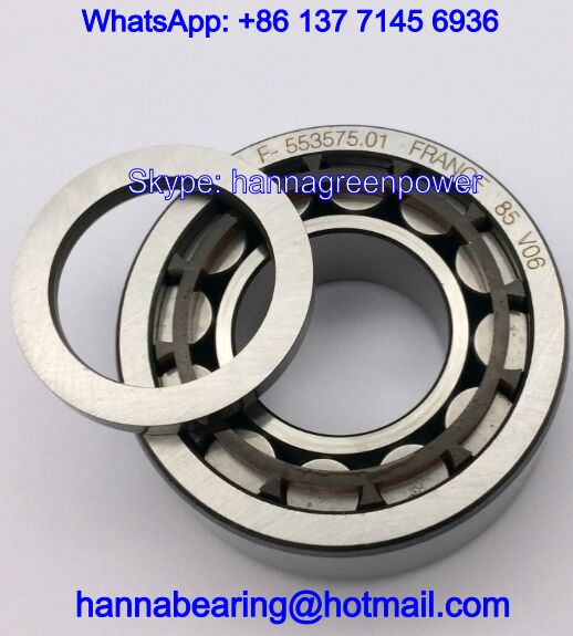 F-553575.01 / F-553575.01.NUP Cylindrical Roller Bearings for Gear Reducer 20x42x16/15mm