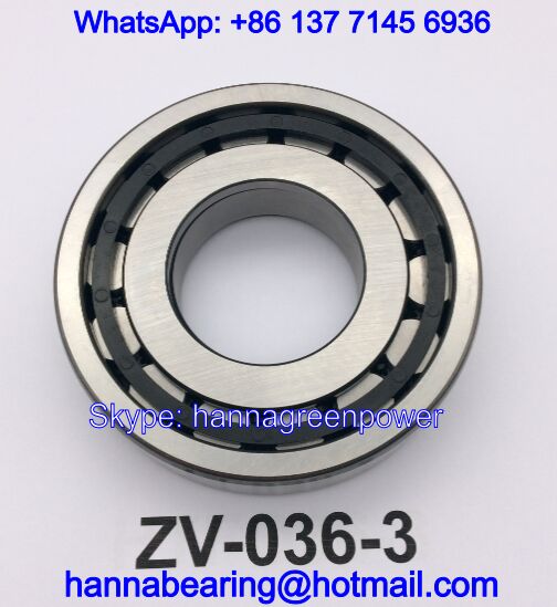 ZV0363 Auto Bearings / Cylindrical Roller Bearings, ZV0363 bearing