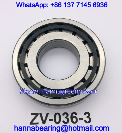 ZV-036-3 Auto Bearings / Cylindrical Roller Bearings