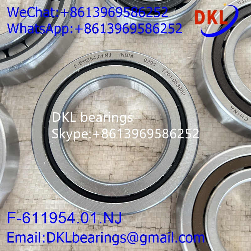 F-611954.01 India Cylindrical Roller Bearing (High quality) size 60X95X18 mm