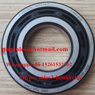 H1BR7025C3A01 Auto Differential Bearing 25x51/48x10/12mm