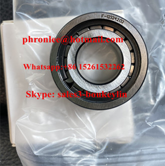 F-123242.02 Cylindrical Roller Bearing 17x37x14mm
