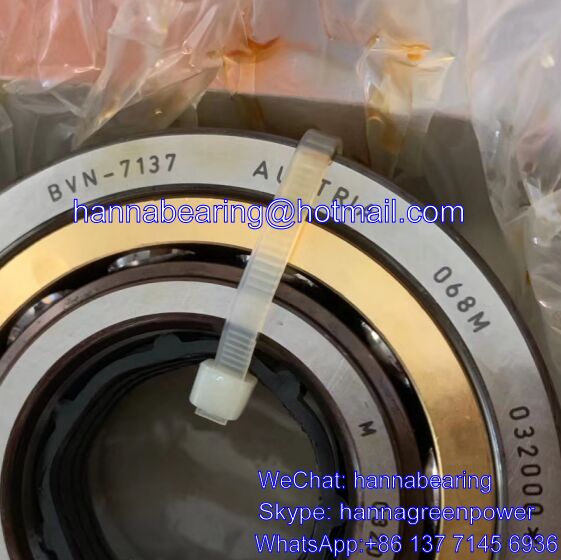 BVN-7137 Angular Contact Ball Bearing / Air Compressor Bearings