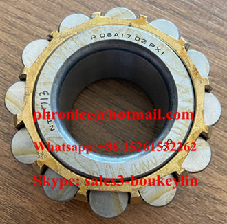 R08A17 Eccentric Bearing/Cylindrical Roller Bearing