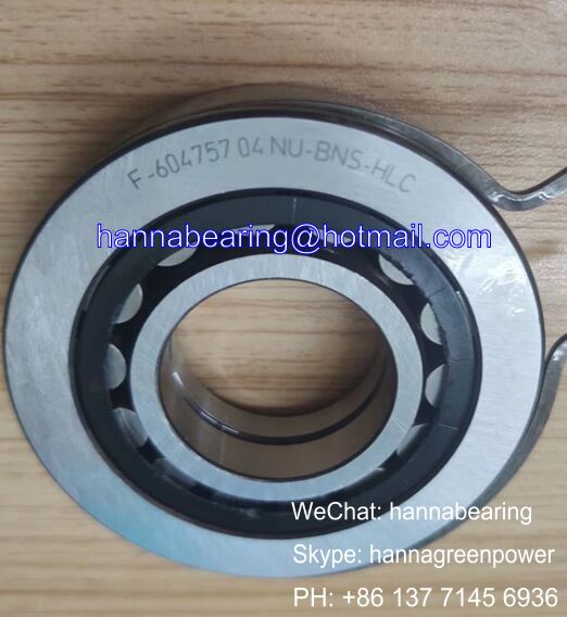 F-604757.04.NU Auto Bearings / Cylindrical Roller Bearings 31*72*28mm
