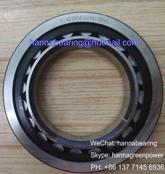 F-627858.03.NU-BNS Auto Bearings / Cylindrical Roller Bearings 55x90x18mm