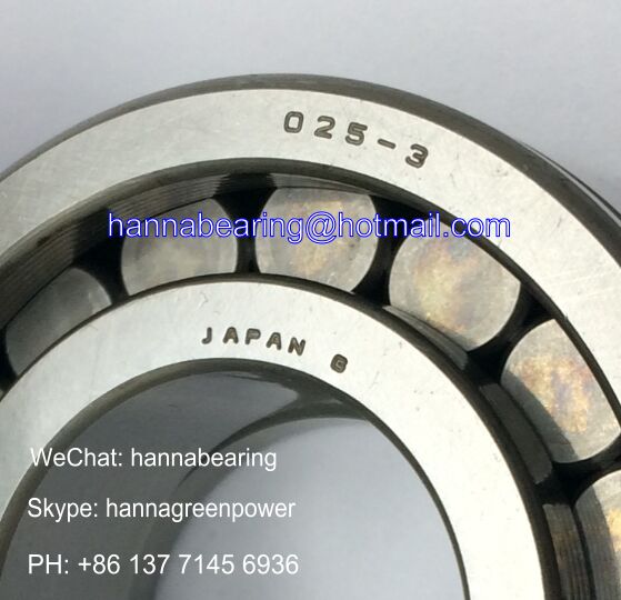 0253 Auto Bearings / Cylindrical Roller Bearings 25*52*18mm, 0253