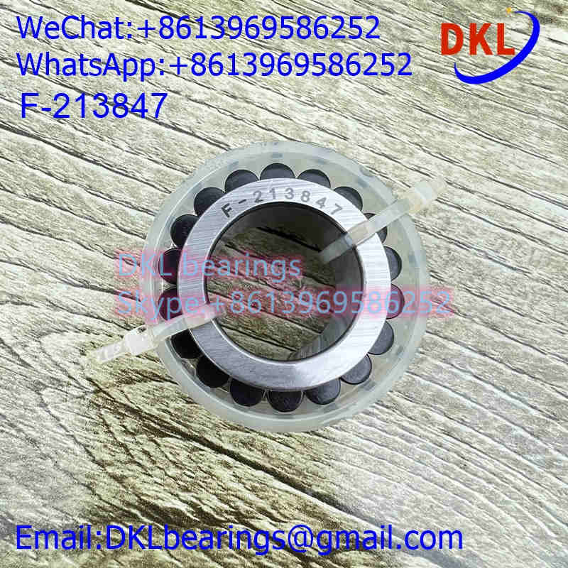 F-213847 Cylindrical Roller Bearing