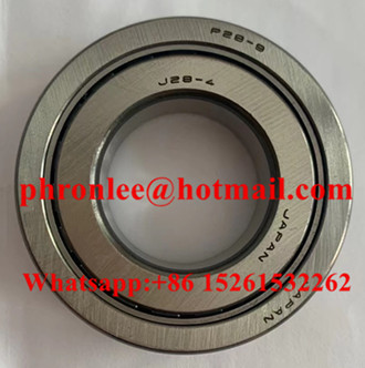 P28-9 Cylindrical Roller Bearing