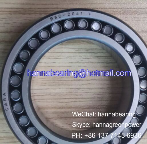 BSC2041V Toroidal Bearing / Cylindrical Roller Bearings 42x67x22mm