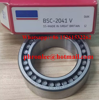 BSC-2041 Cylindrical Roller Bearing 42x67x22mm