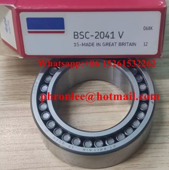 CARA BSC-2041 Cylindrical Roller Bearing 42x67x22mm