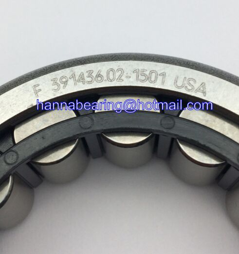 F-391436.02-1501 Cylindrical Roller Bearings 38x64x18mm