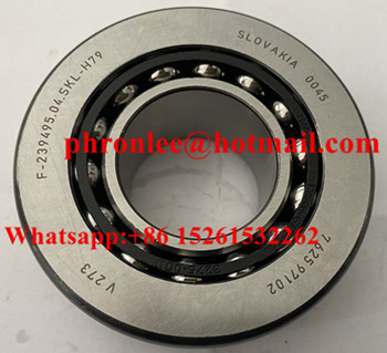 7625971 01 Auto Differential Bearing 34.925x79x31mm