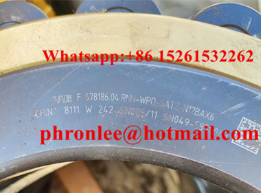 F-678186.04.RNN-WP0-SATZ-N12BAX6 Cylindrical Roller Bearing