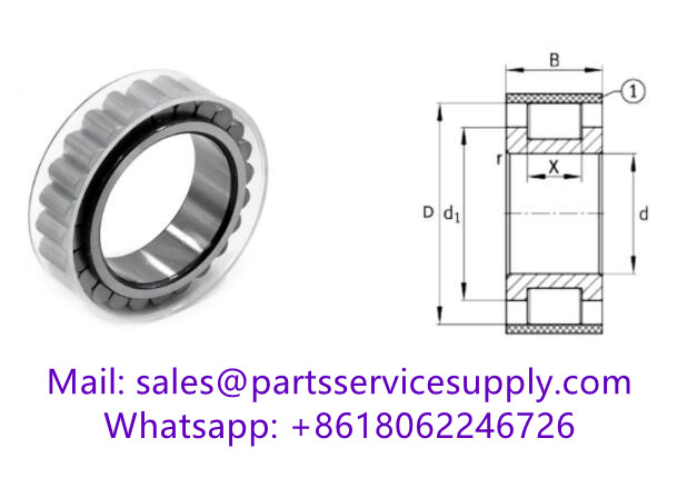 TJ-600-100 (Size:20x33.83x18mm) Cylindrical Roller Bearing without Outer Ring