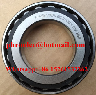 089368002000011 Cylindrical Roller Bearing