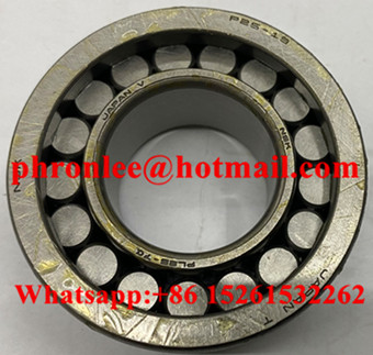 P25-19 Cylindrical Roller Bearing 25x62x18mm