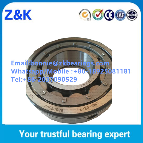 BS225560 Cylindrical Roller Bearing for Link Belt Distributor