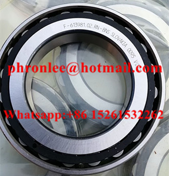 F-613981 Cylindrical Roller Bearing