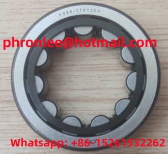 F050-1701204 Cylindrical Roller Bearing 33x60x20.5mm