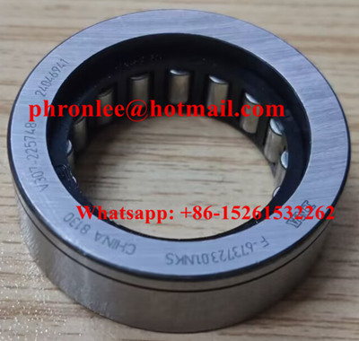 V307-225748 Cylindrical Roller Bearing