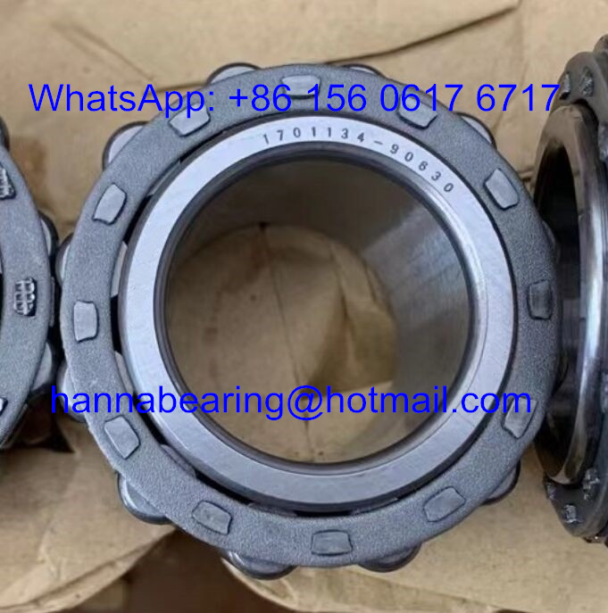 1701134-90830 Cylindrical Roller Bearing 1701134 90830 Auto Bearings 170113490830 