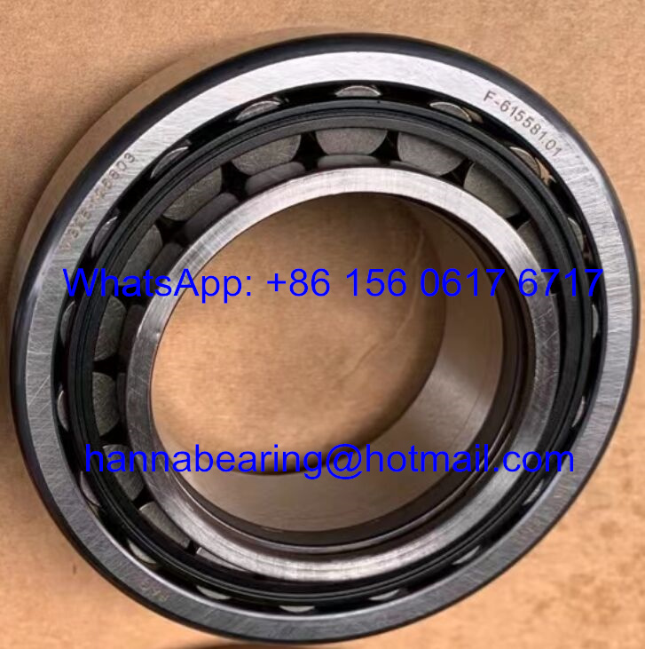 F-615581.01 Truck Wheel Bearing / Tapered Roller Bearing