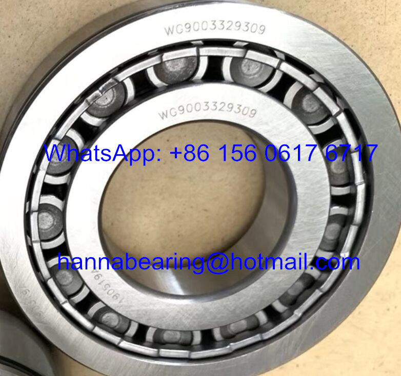 WG9003329309 Cylindrical Roller Bearing / Truck Bearings