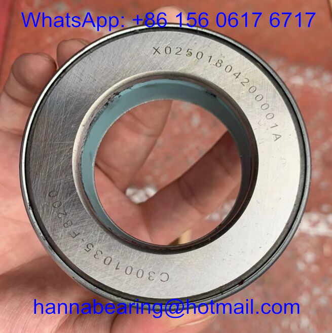 X02501804200001A Truck Bearings / Steering Knuckle Kingpin Bearing